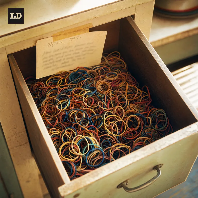 Album cover for Case No. 0288, The Drawer of Rubber Bands