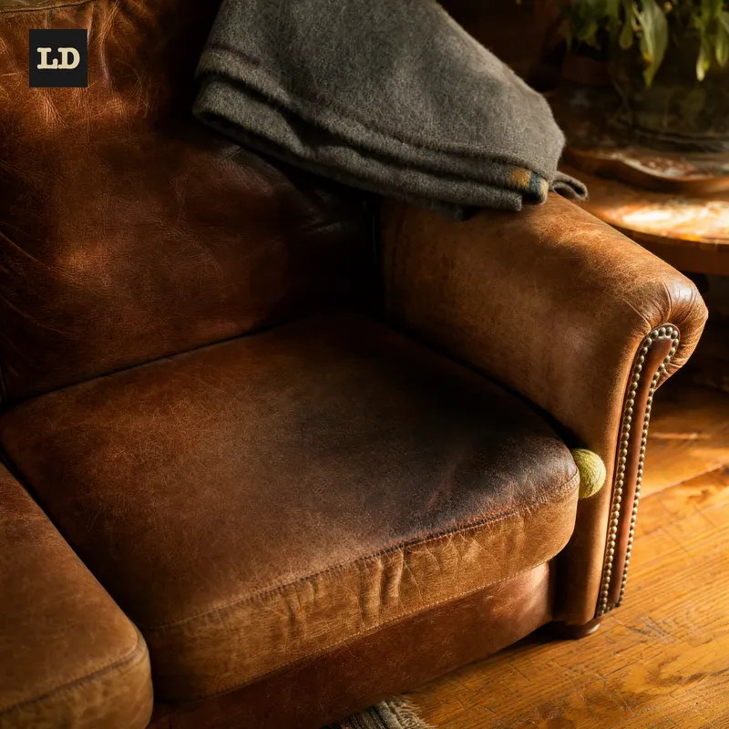 Album cover for Case No. 0701, The Couch Where You Slept